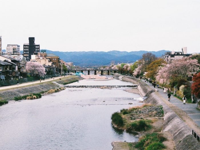 Dealing With Loneliness in Japan