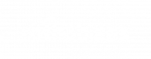 Rotho Blaas logo