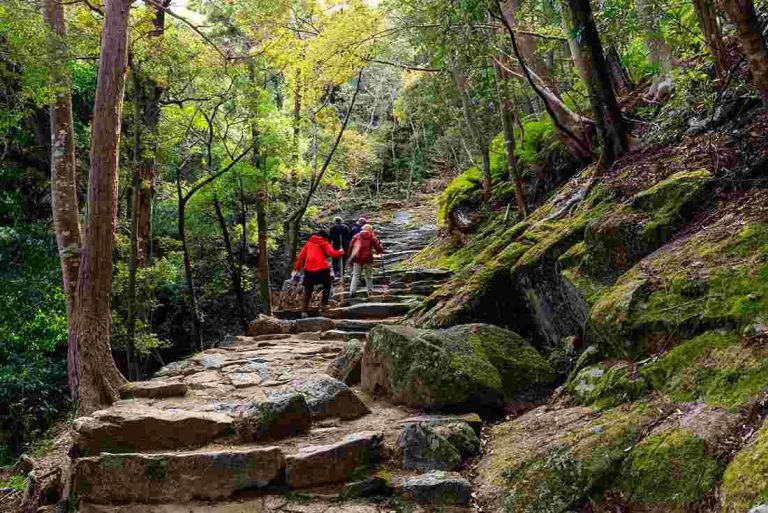7 Awesome Places to Go Hiking Near Tokyo