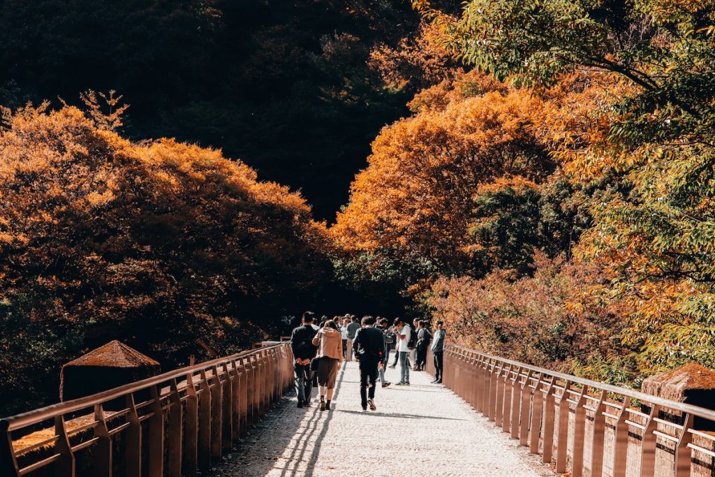 Make the most of the centuriesold Autumnal Equinox Day JOBS IN JAPAN