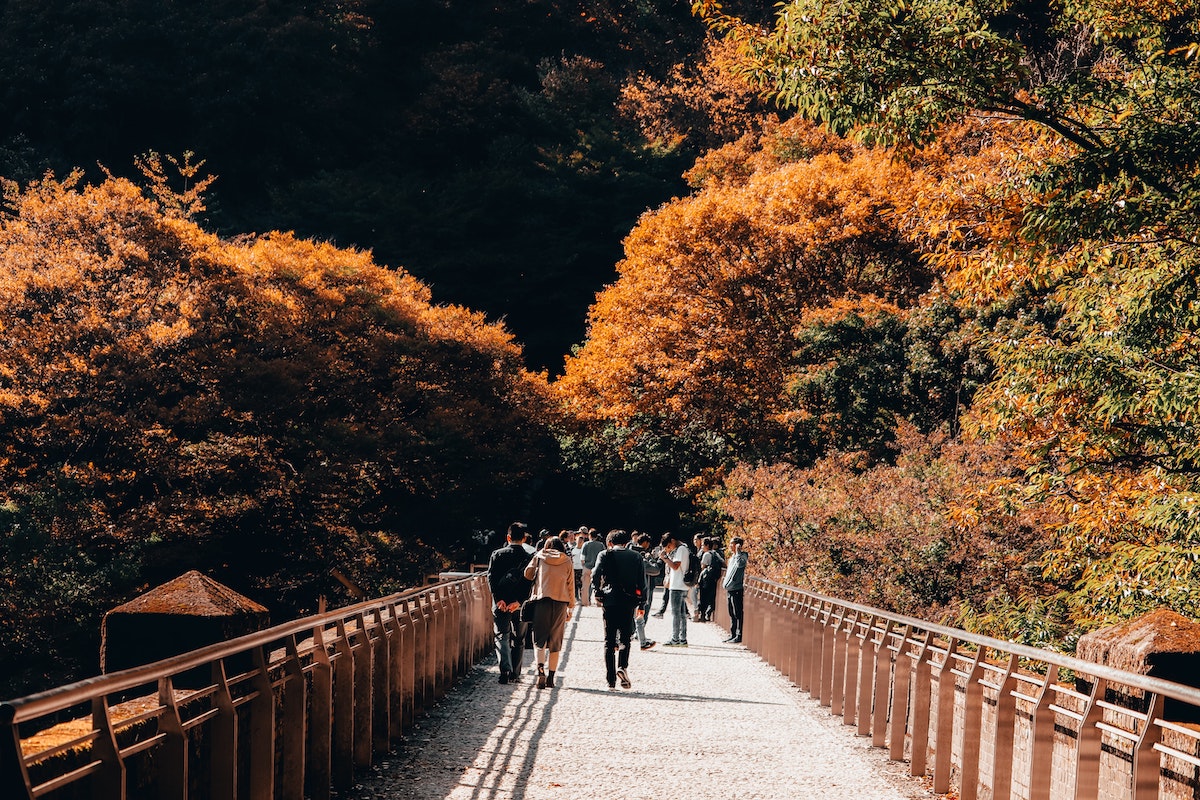 Make The Most Of The Centuries old Autumnal Equinox Day JobsInJapan