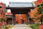 Things to Do In Autumn in Japan