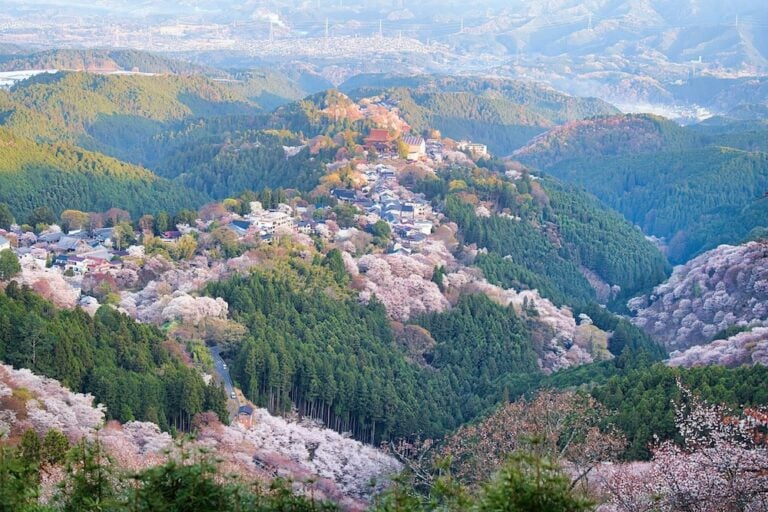 Another Side of Nara Prefecture It’s More Than Just Deer