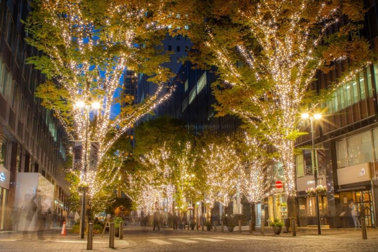 A Guide to Winter Illuminations in Tokyo