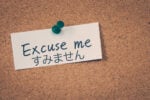Why すみません is the Most Useful Japanese Word You Need to Know