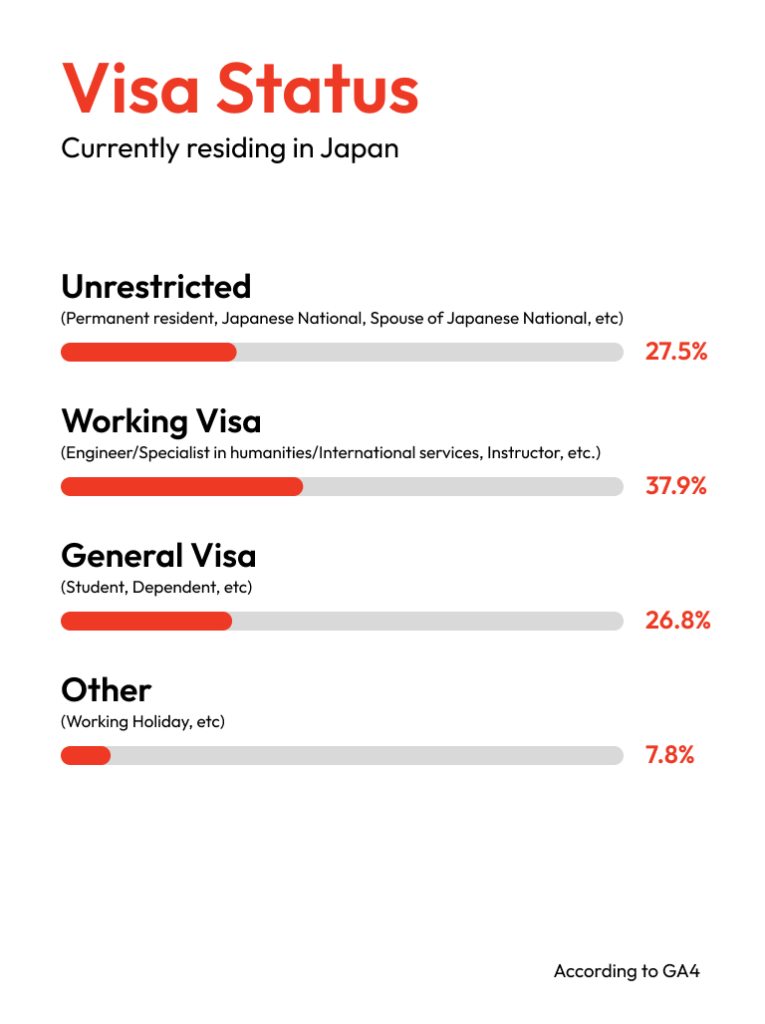 Visa Status description