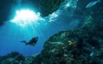 Hidden Depths: Why Japan is a Top Destination for Scuba Diving