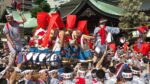 Embracing Local Japanese Community Through Festivals