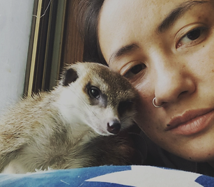 A Flair for the Exotic: Chiba-based Rescuer Saves One Animal at a Time